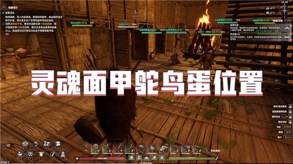 灵魂面甲鸵鸟蛋位置