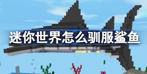 迷你世界怎么驯服鲨鱼 迷你世界驯服鲨鱼技巧详解