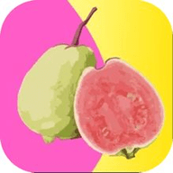 草莓直播苹果下载