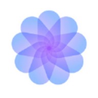 黄金网站app视频大全下载