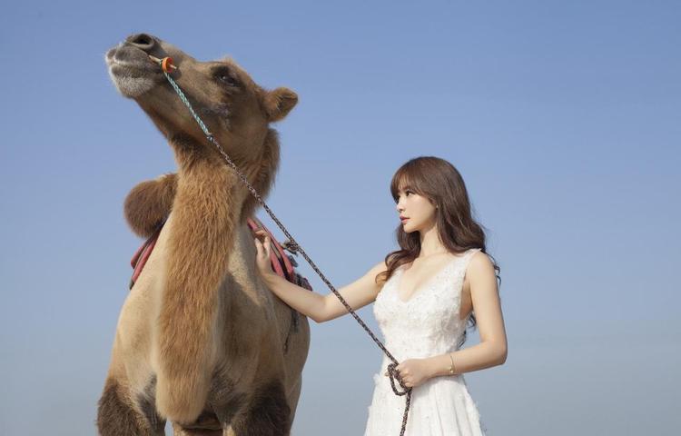 企业中的中国xxxxxl19nic免费资源