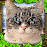 流浪猫模拟器中文版(StrayCatSim)apk游戏下载