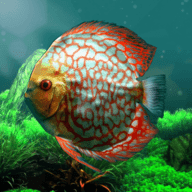 热带鱼水族馆(discus)_logo