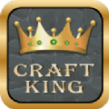 工艺之王（Craft King）安卓免费游戏app